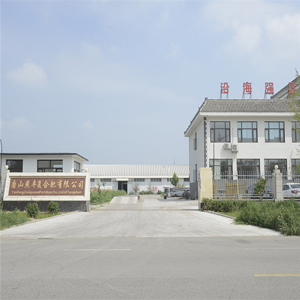 赢家体育复合肥厂区门口